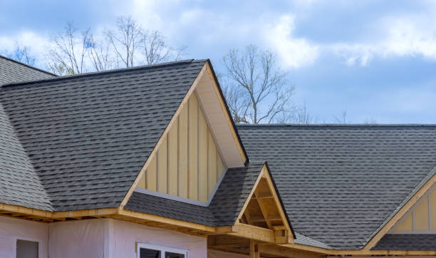 Best Roof Insulation Installation  in Sylva, NC